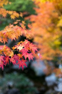 20131205-003