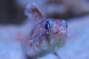 IMG_6156_1024
