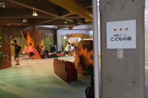 IMG_9312 copy