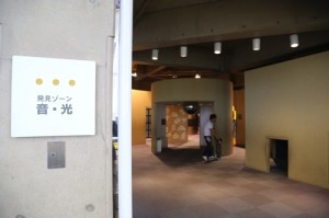 IMG_9316 copy