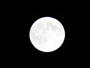 MOON