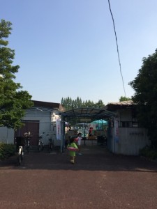 IMG_0246