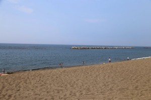 IMG_0411