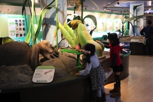 IMG_1577