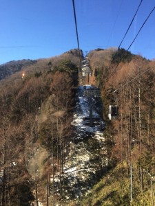 IMG_3207