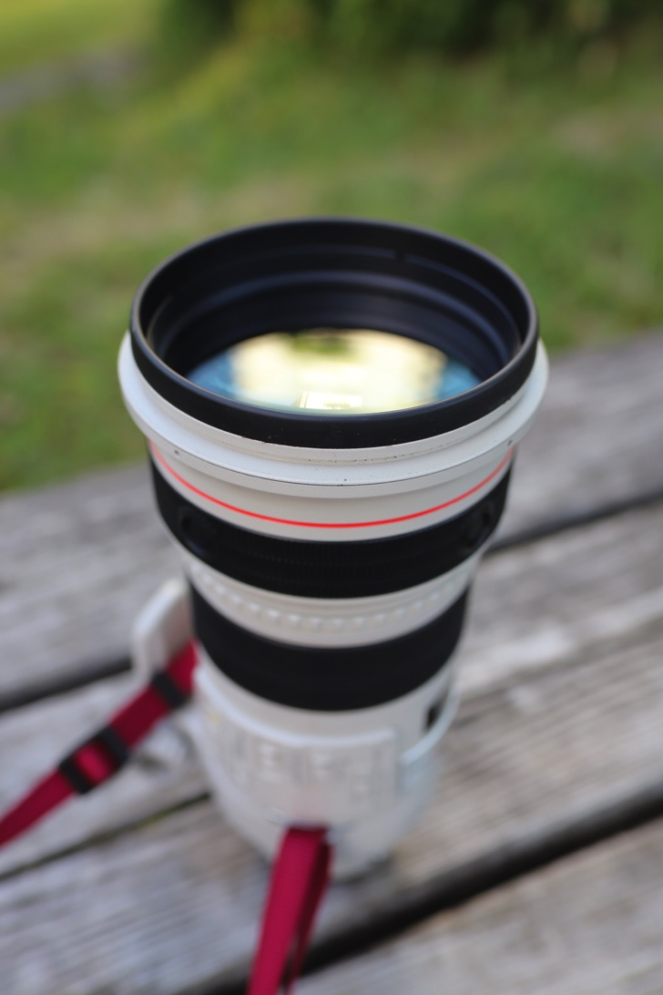 サンニッパは素晴らしい描写性能！ Canon EF300mm F2.8L IS II