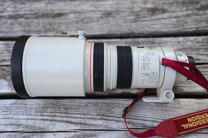 Canon EF300mm F2.8L IS II USM 運動会レビュー | ノマサラ
