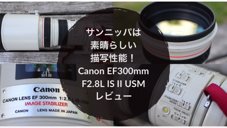 サンニッパは素晴らしい描写性能！ Canon EF300mm F2.8L IS II USM