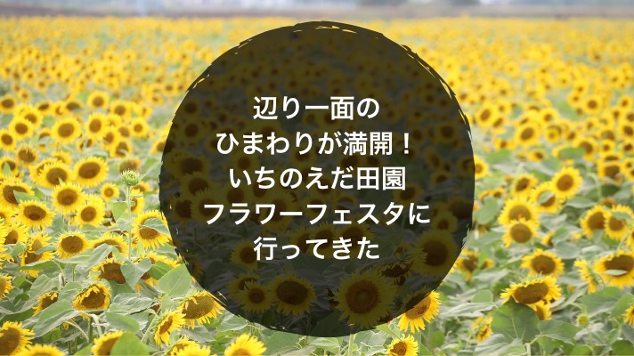 辺り一面のひまわりが満開 岐阜羽島いちのえだ田園フラワーフェスタに行ってきた ノマサラ